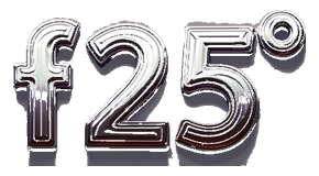 f 25 logo